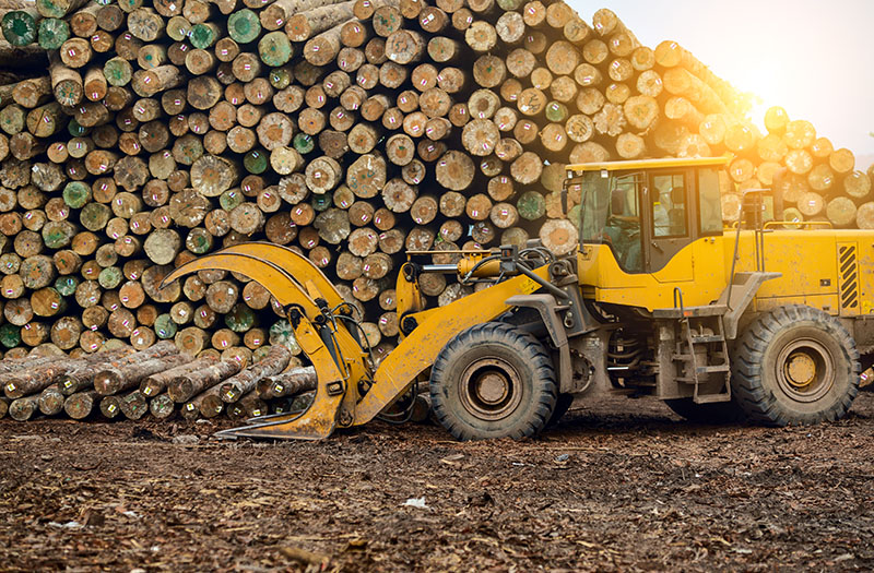 Skid-Steer Loaders GTA